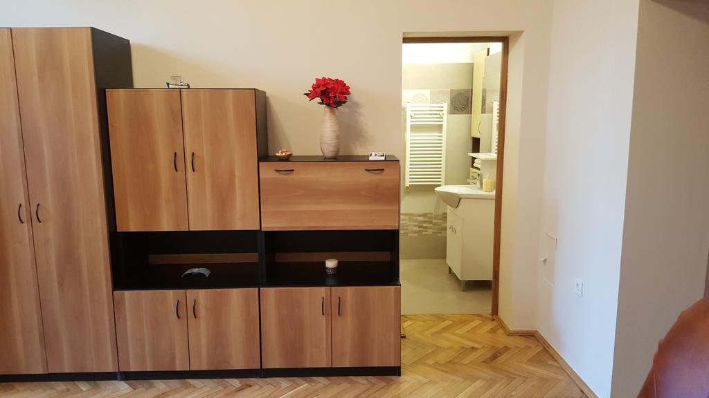 Satu Mare Apartments Bagian luar foto